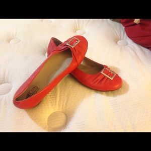 Red cliffs by white mountain